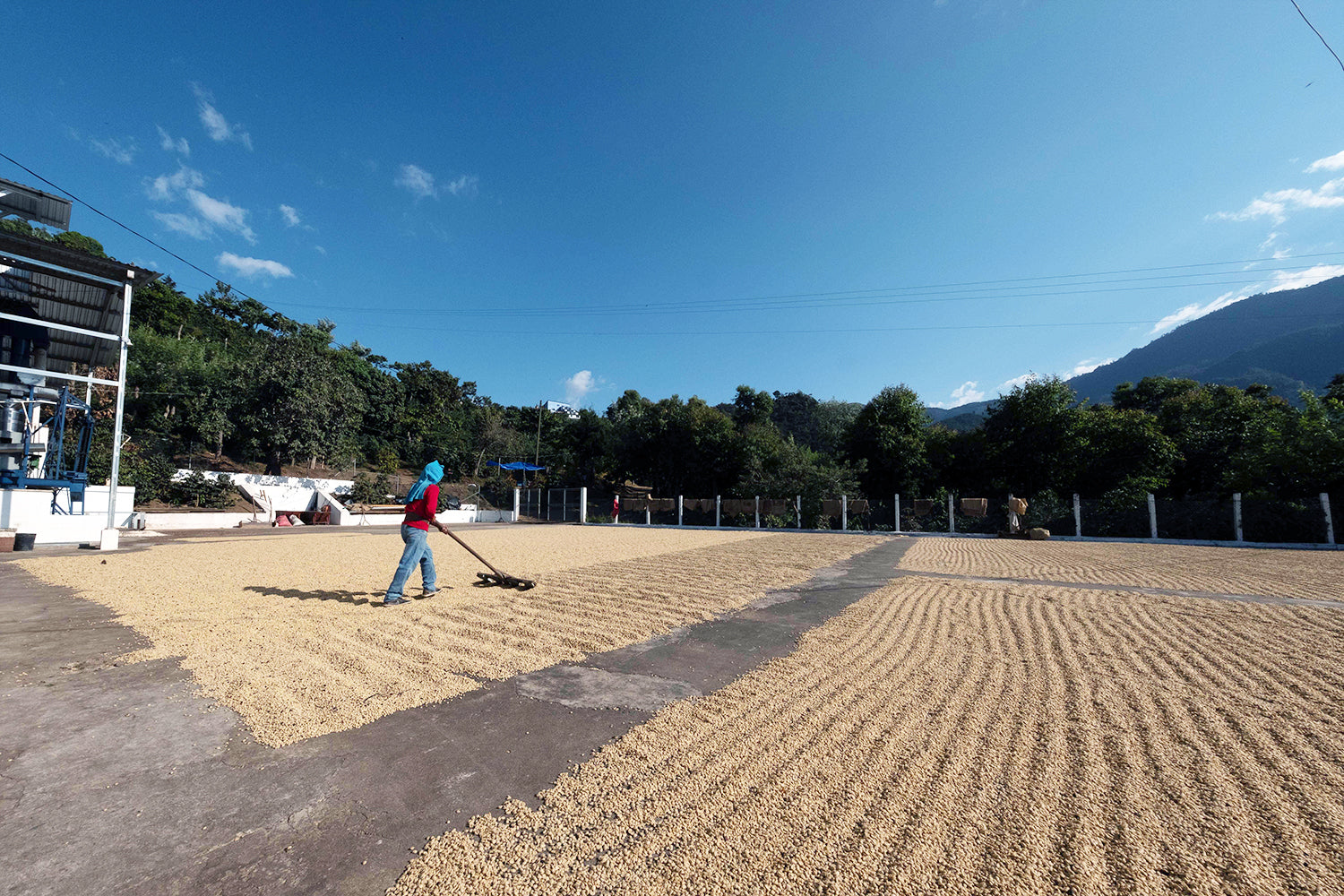 Guatemala La Maravilla El Pino