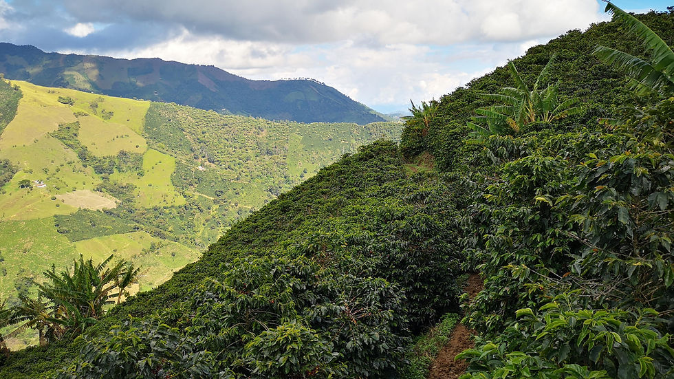 Colombia Hacienda Misiones