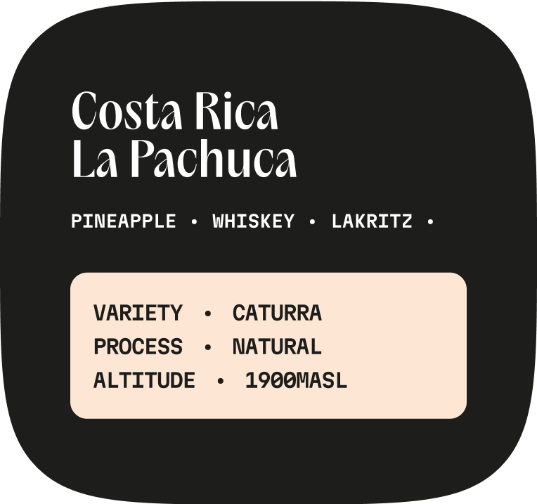 Costa Rica La Pachuca Natural