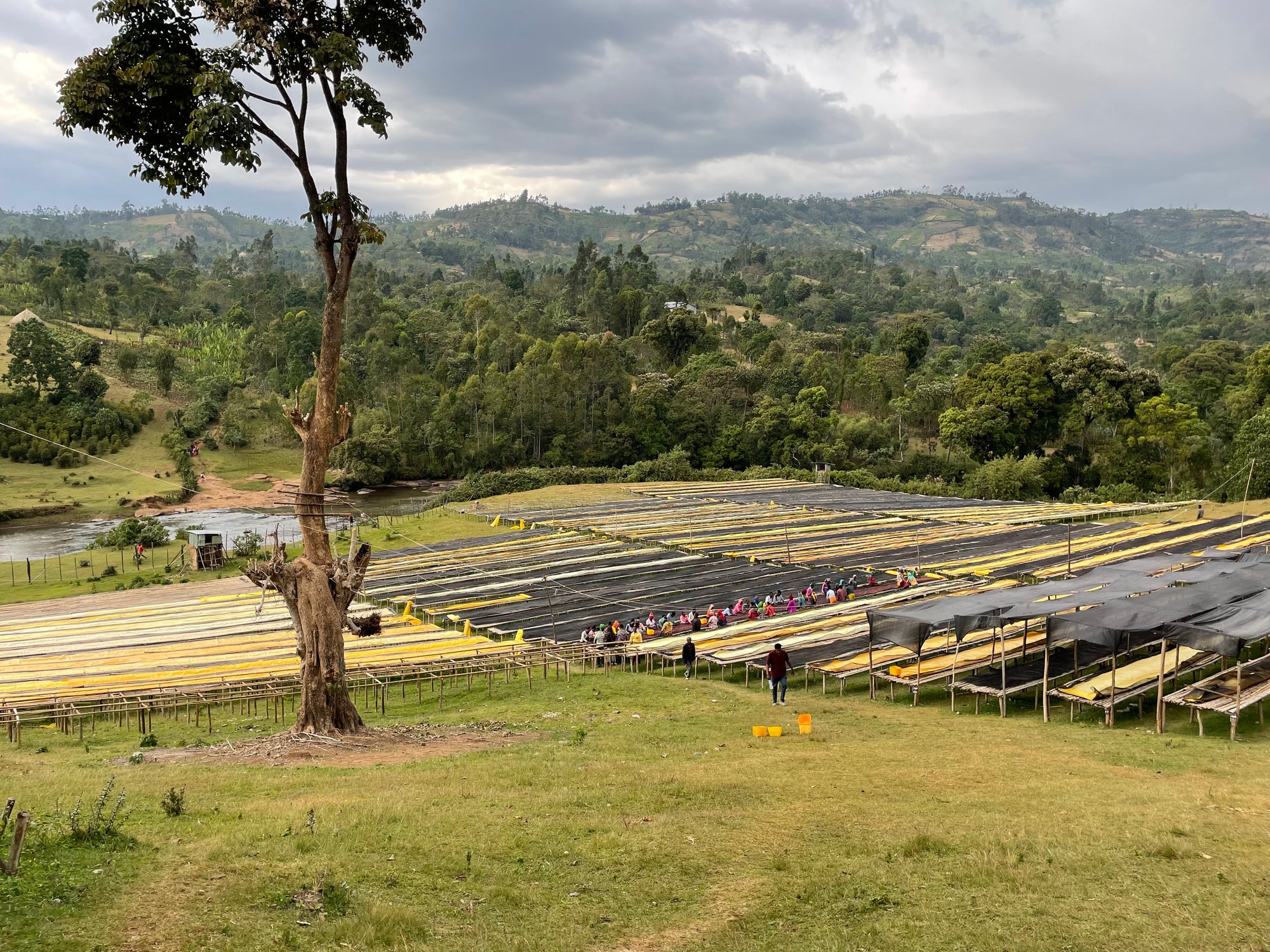 Ethiopia Duwancho