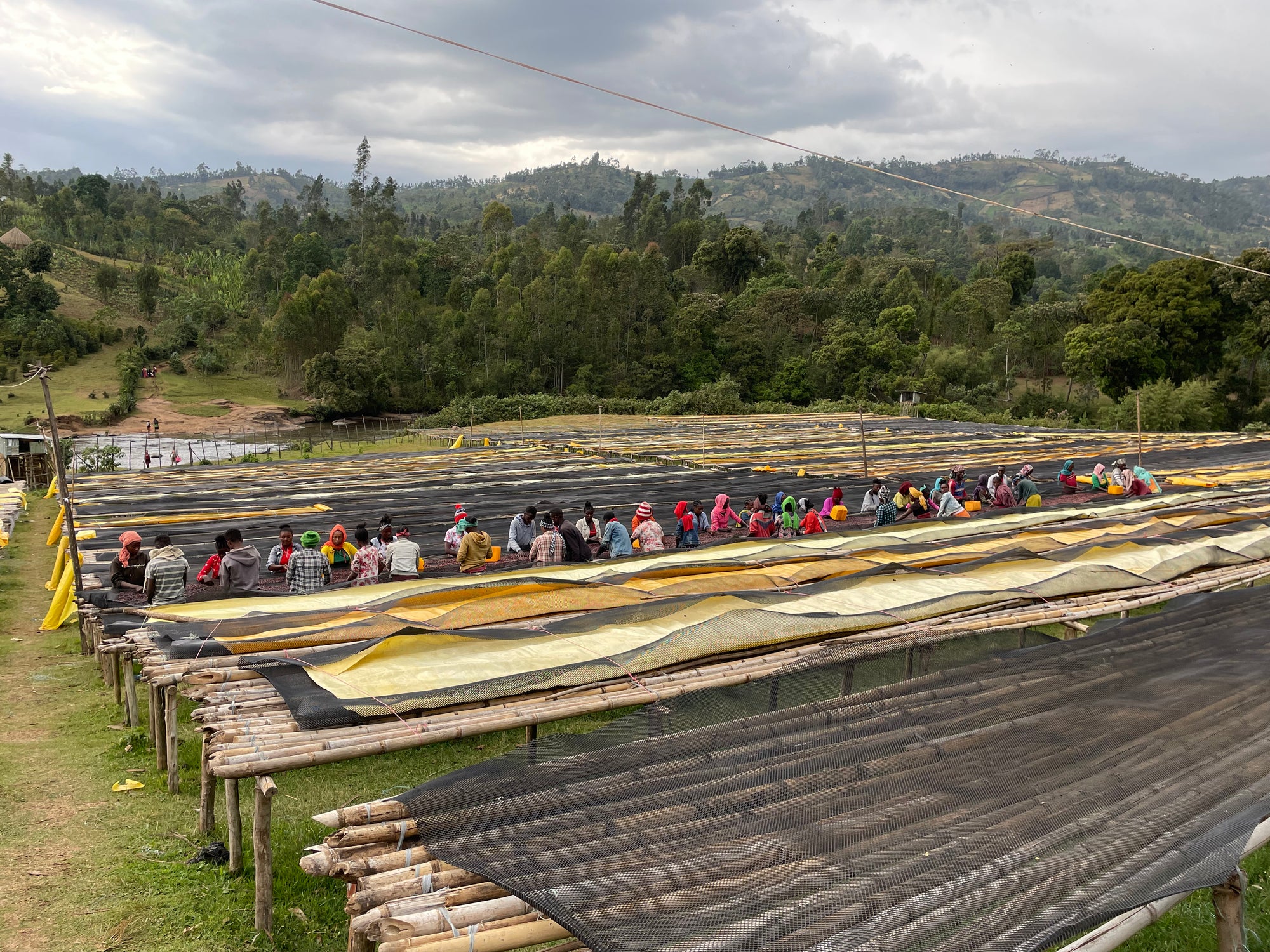 Ethiopia Duwancho
