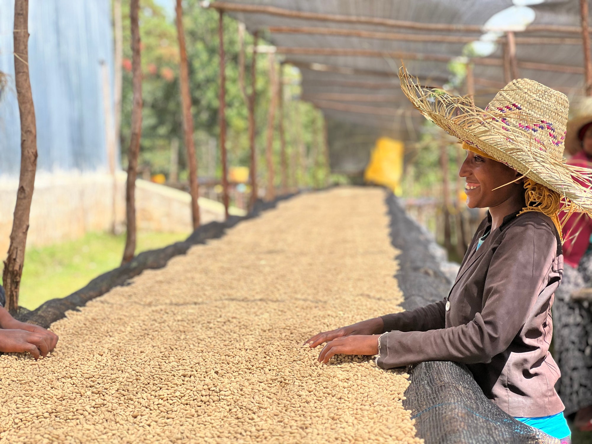 Ethiopia Duwancho