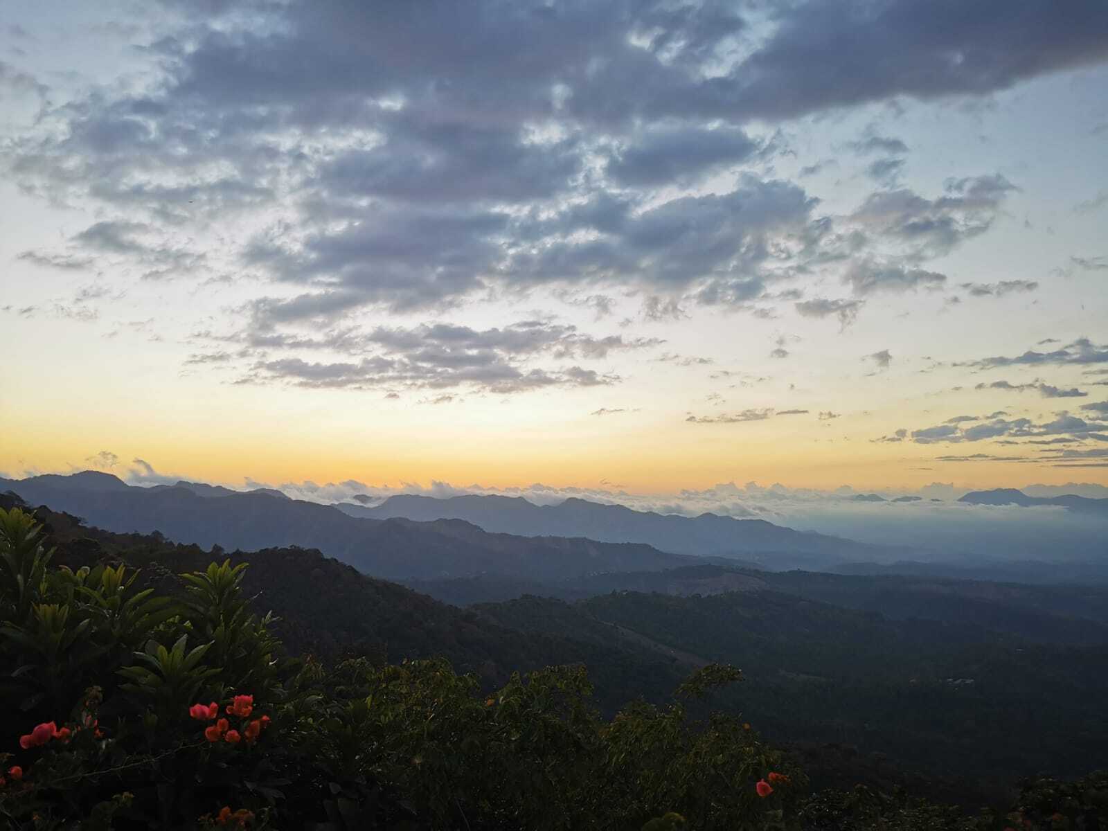 El Salvador La Dalia