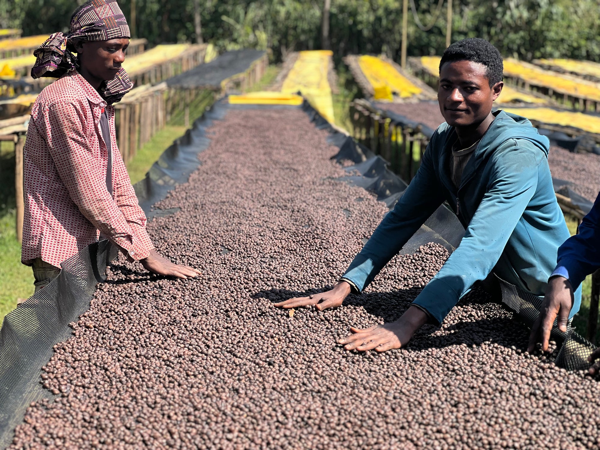 Ethiopia Hamasho Adnan