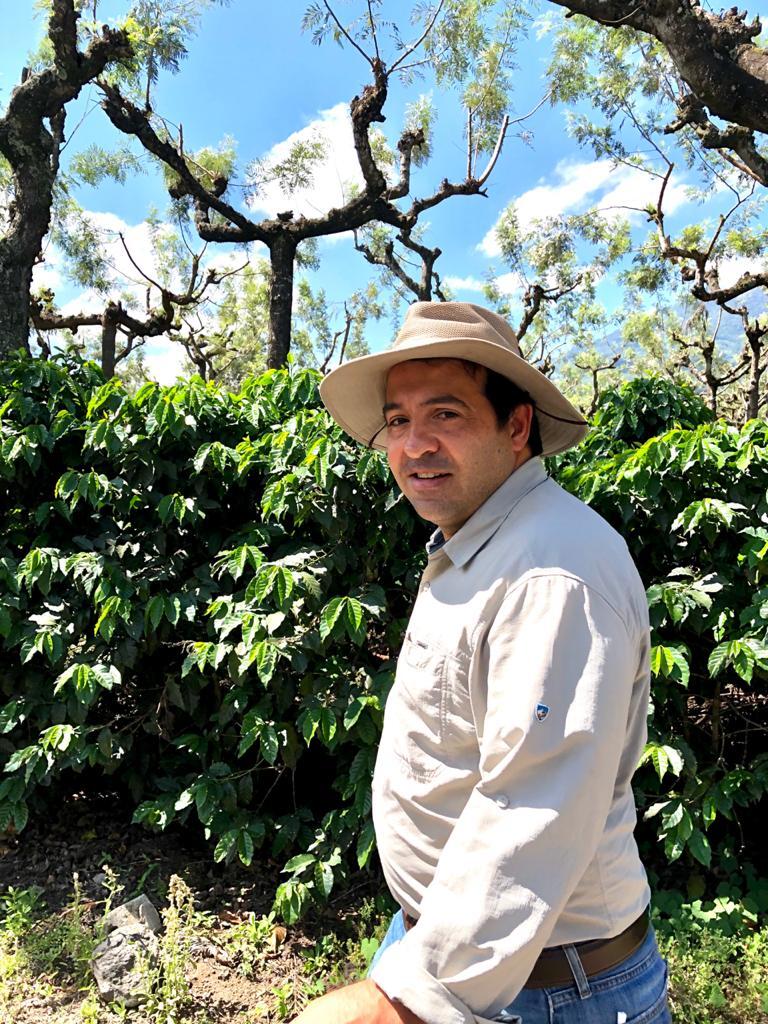 Guatemala Bella Vista