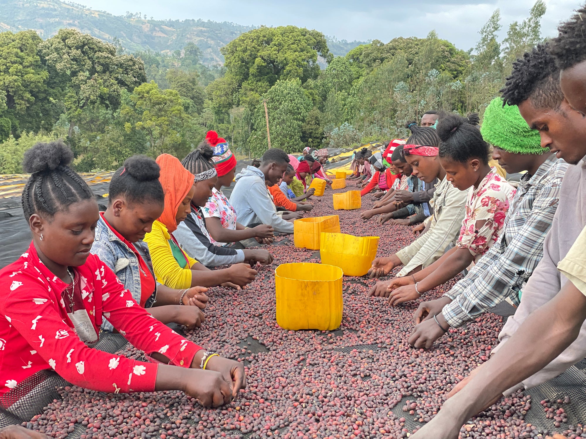 Ethiopia Duwancho