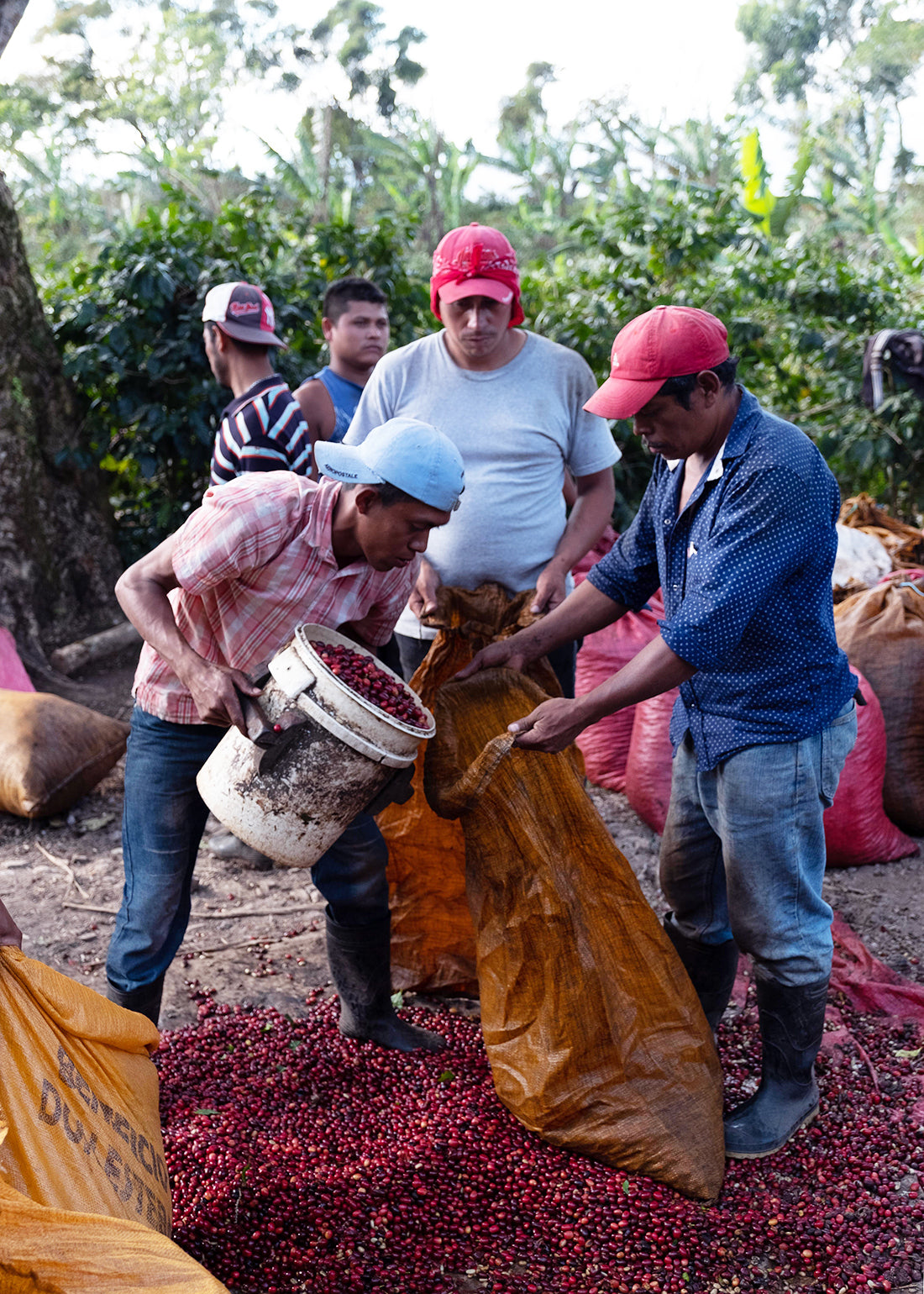 Nicaragua La Escondida