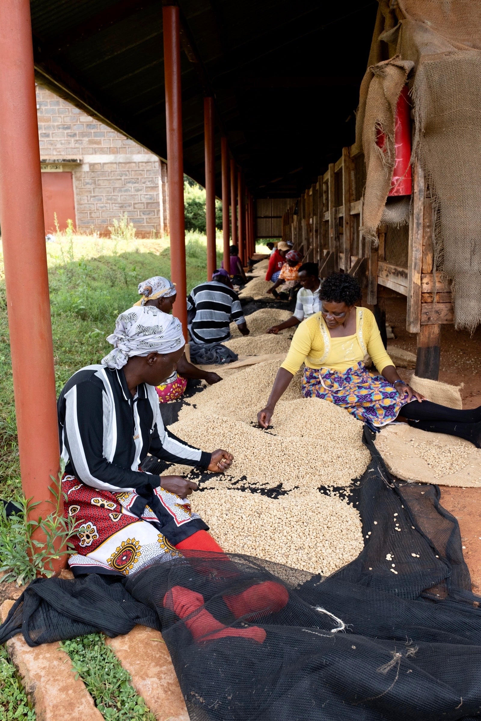 Kenya Mahiga AA
