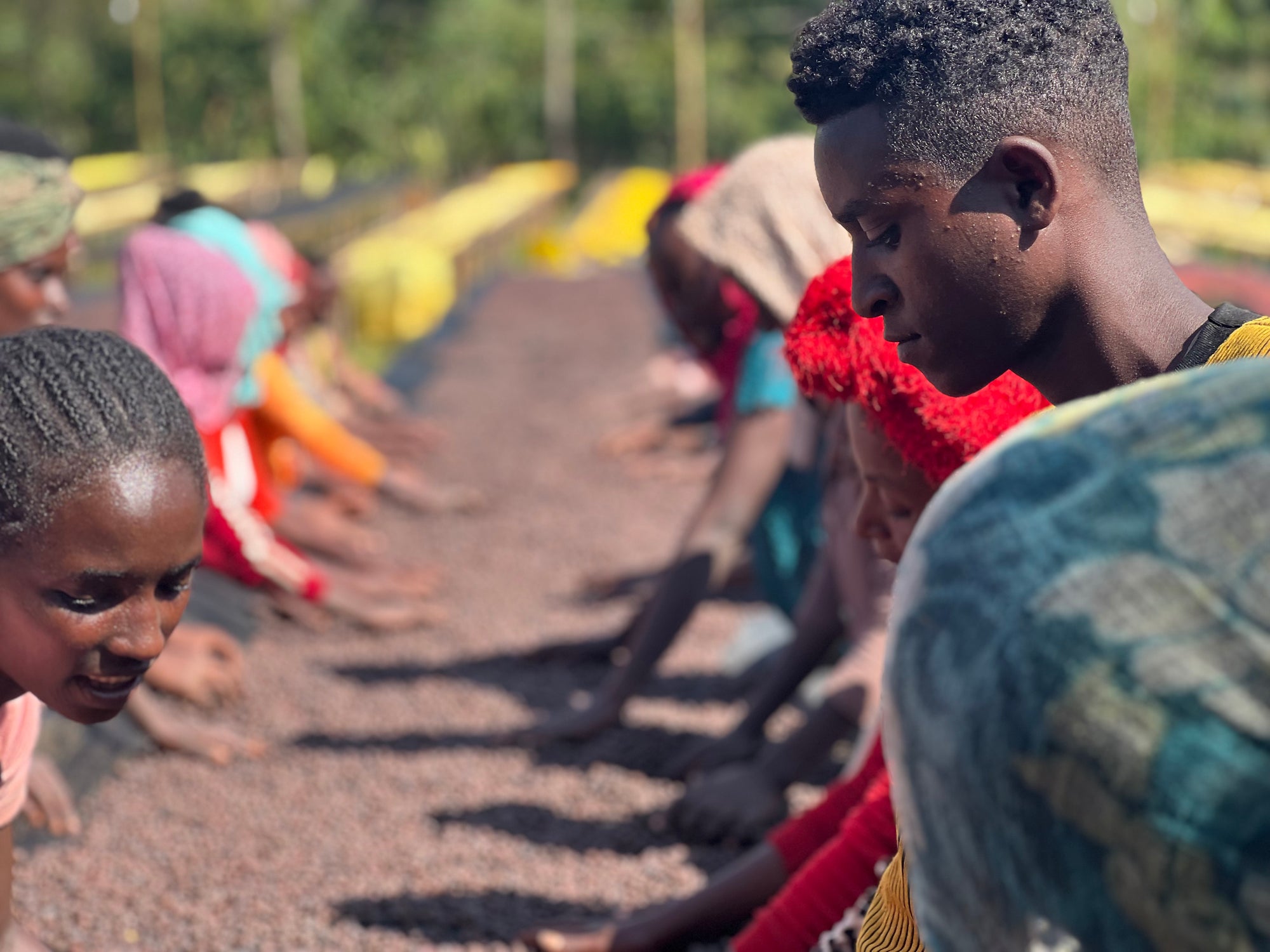 Ethiopia Hamasho Adnan