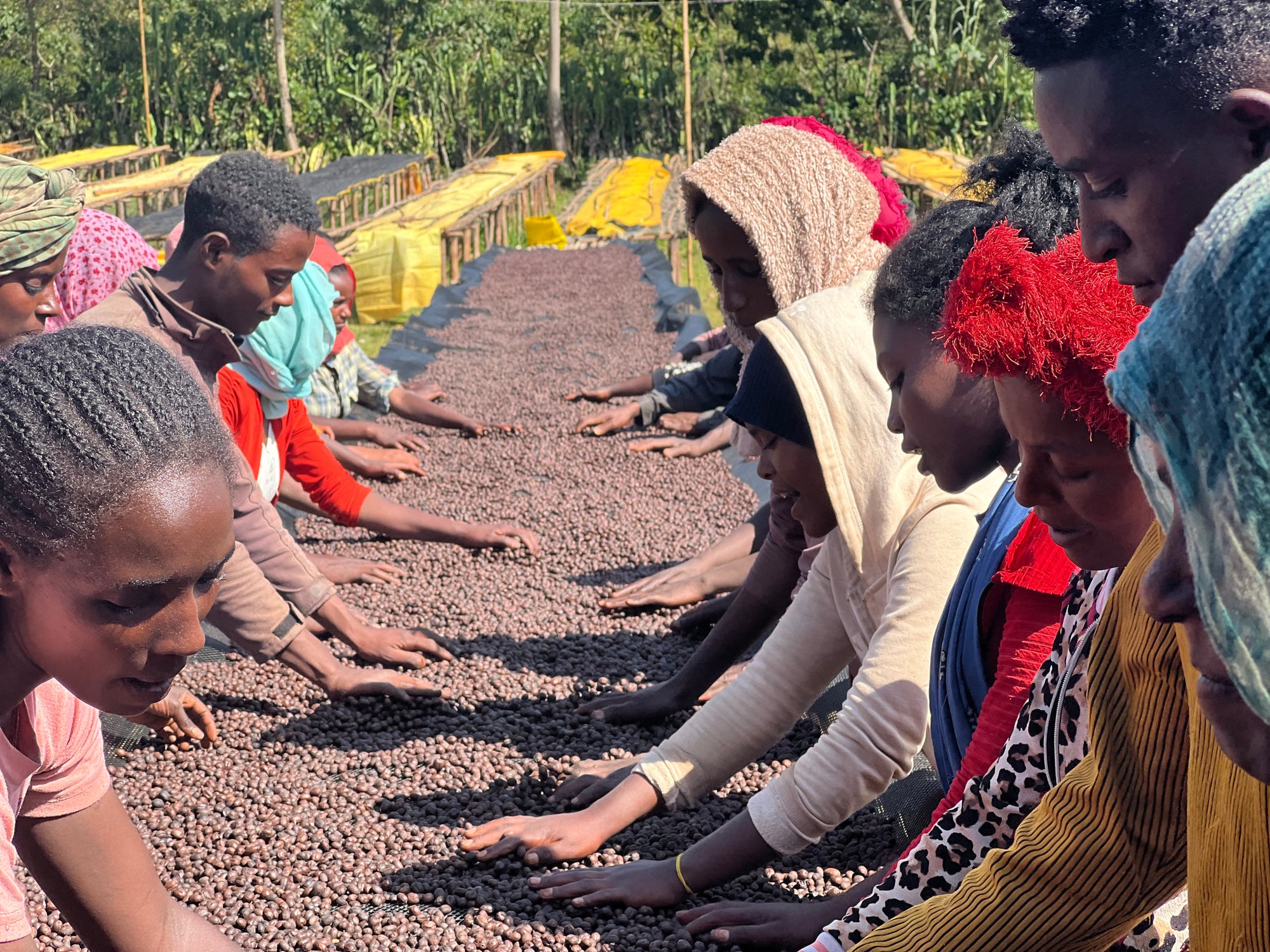 Ethiopia Hamasho Adnan