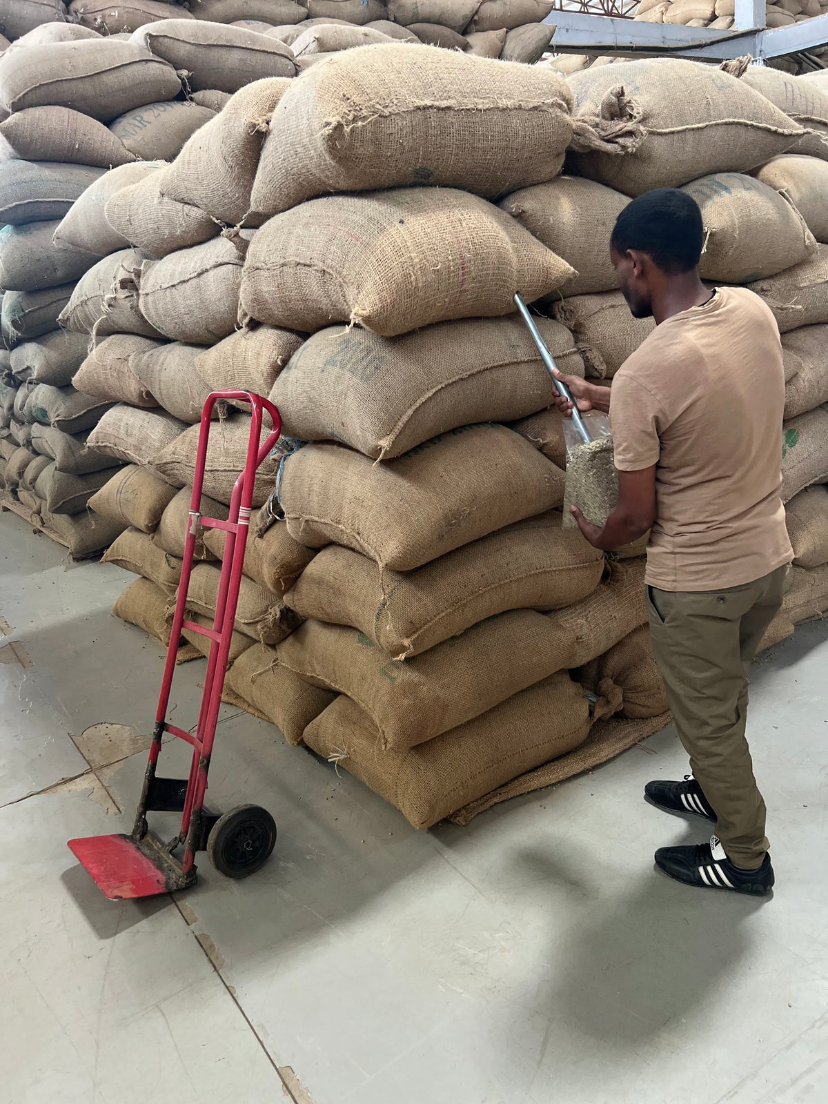 Ethiopia Lalesa