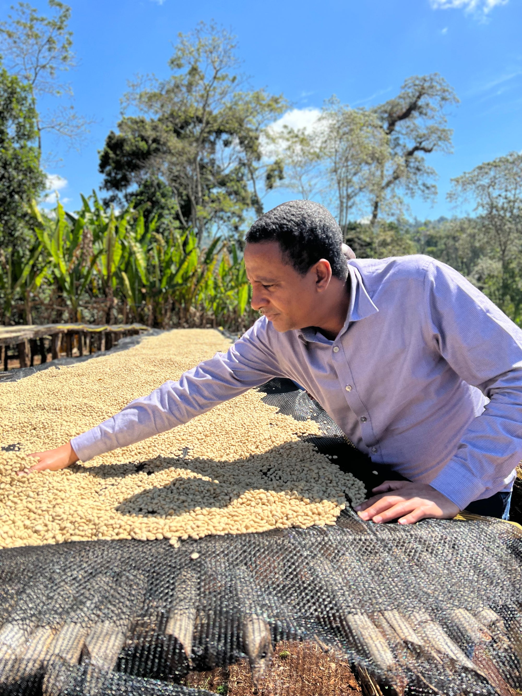Ethiopia Banko Gotiti