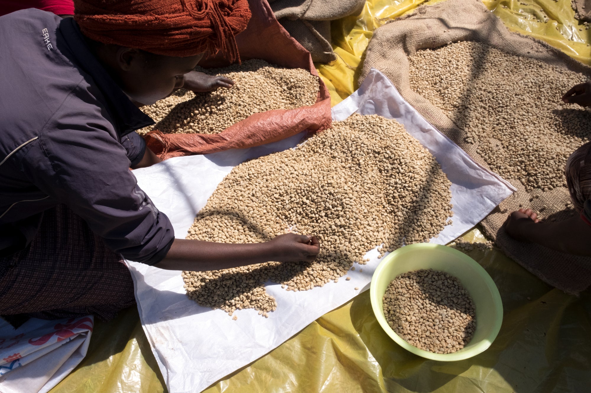 Kenya Mahiga AA