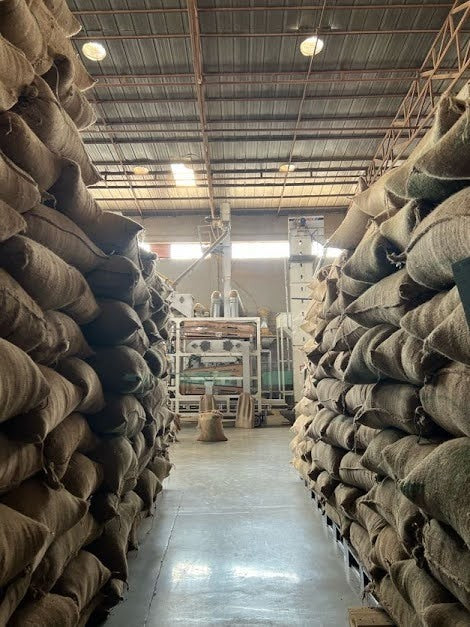 Ethiopia Lalesa