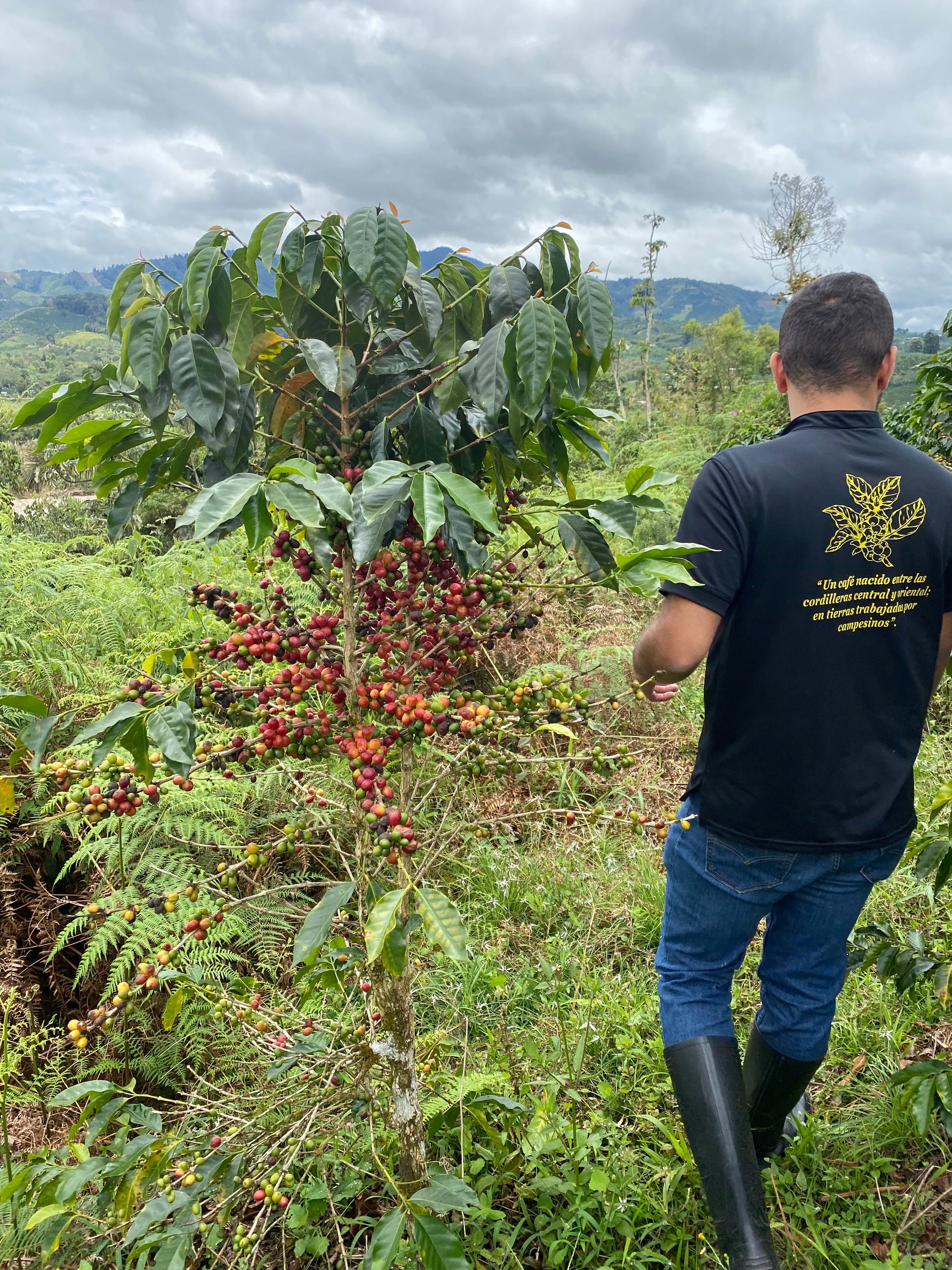 Colombia La Carmelita