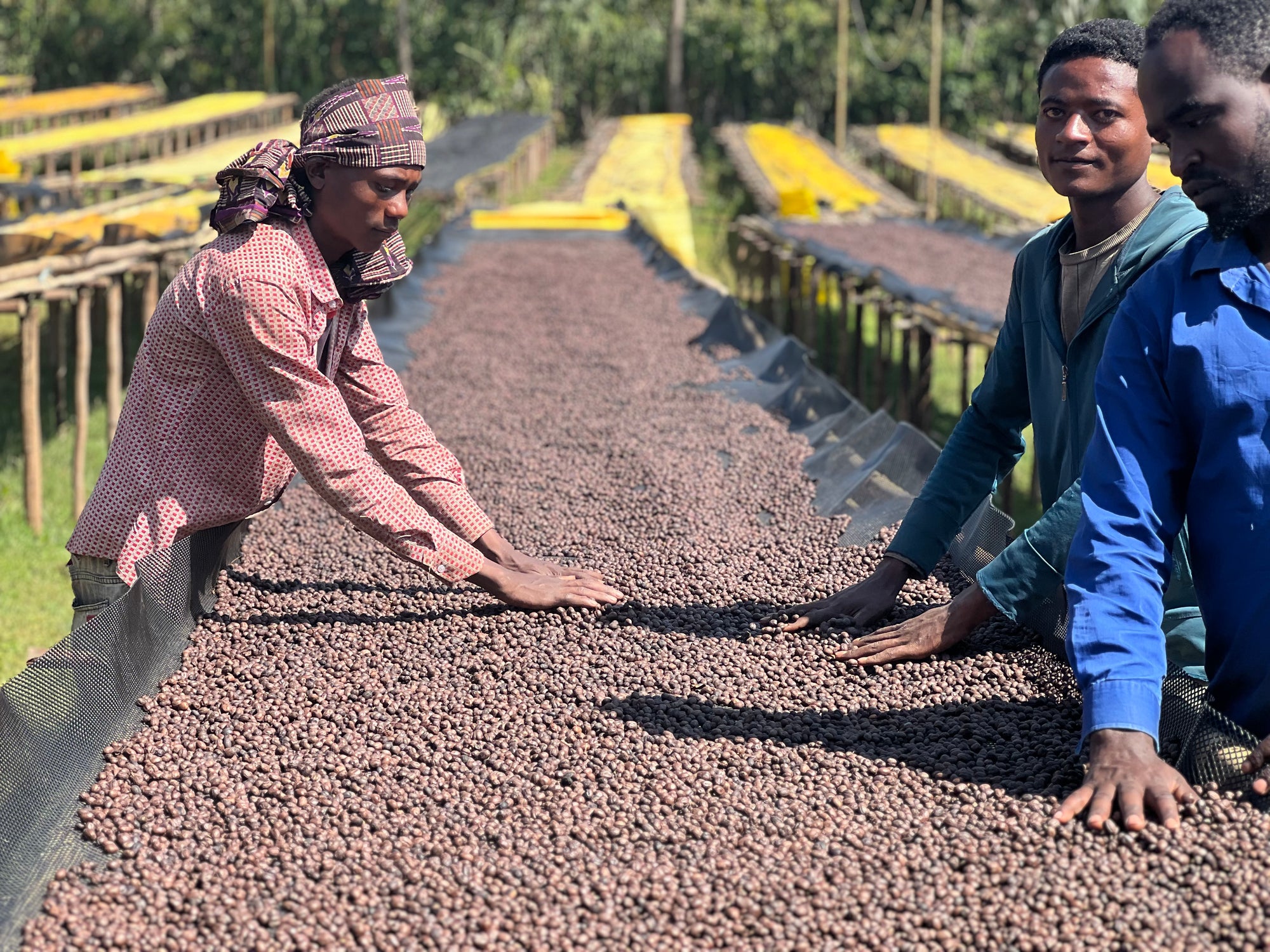 Ethiopia Hamasho Adnan