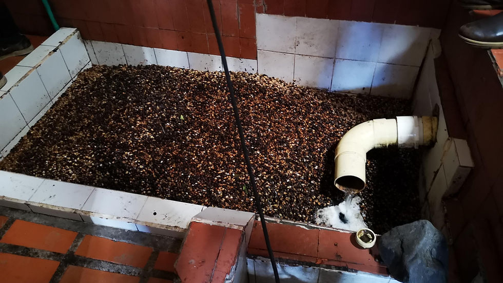 Colombia Mokka Misiones