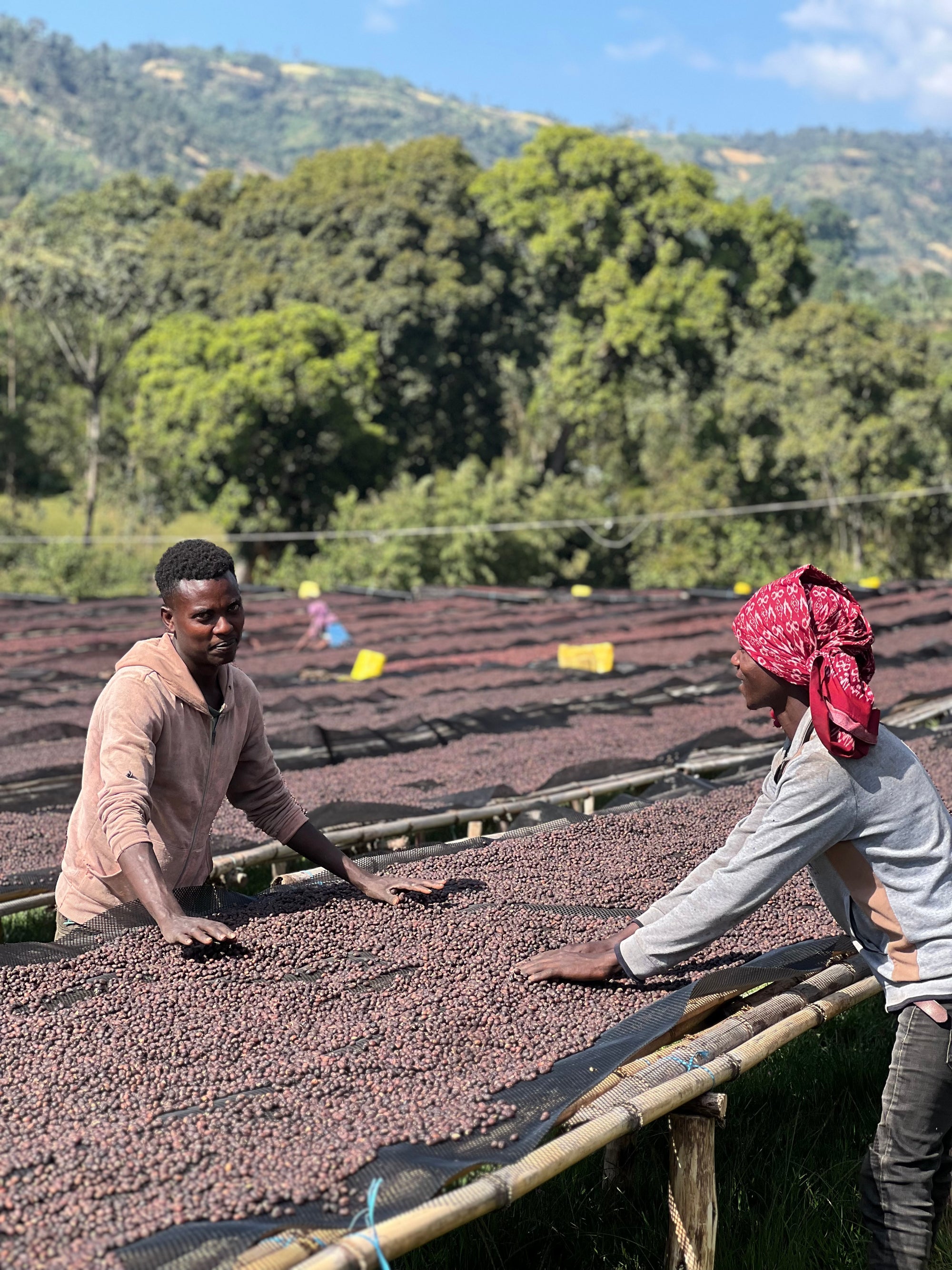 Ethiopia Hamasho Adnan