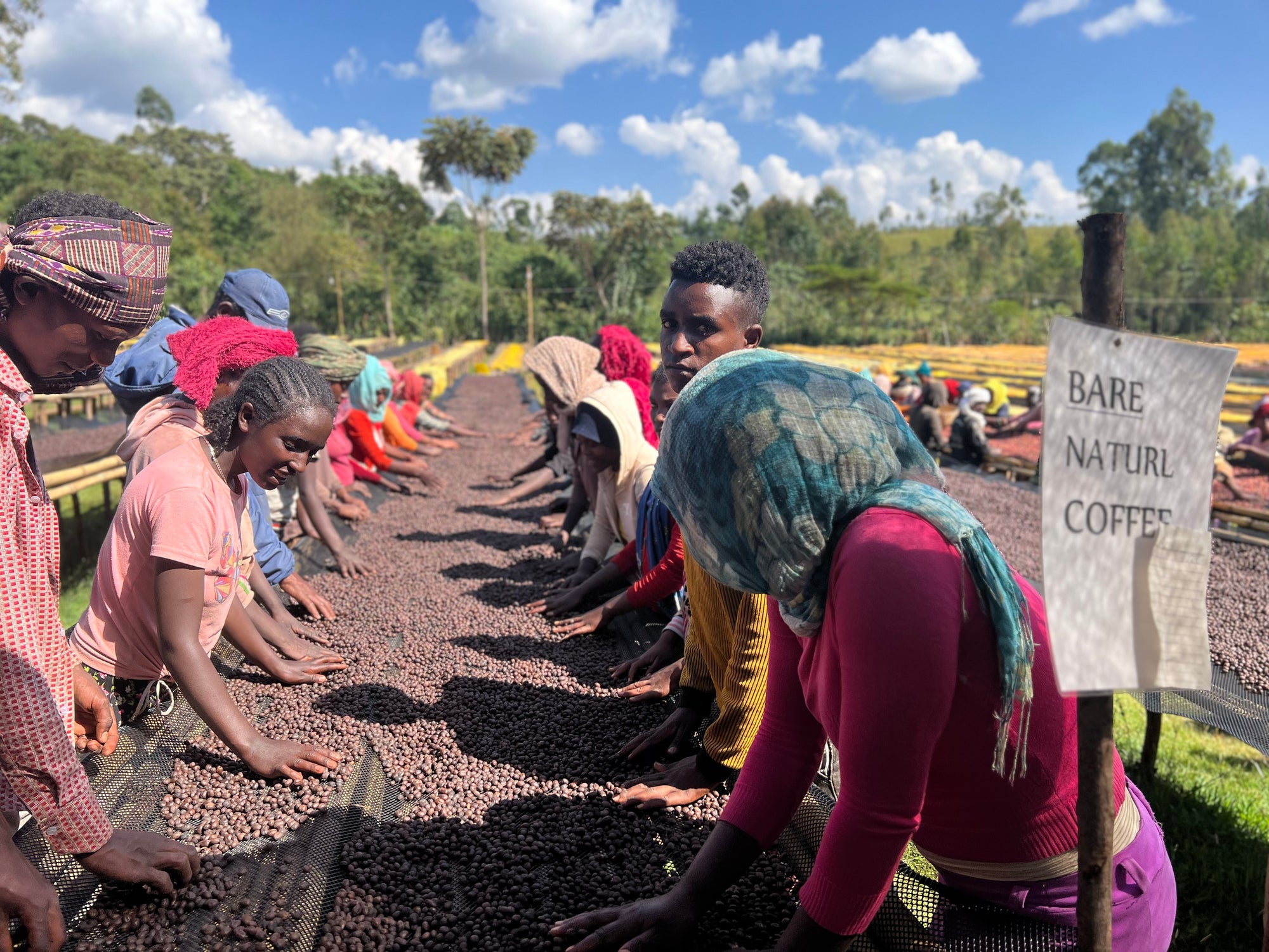 Ethiopia Hamasho Adnan
