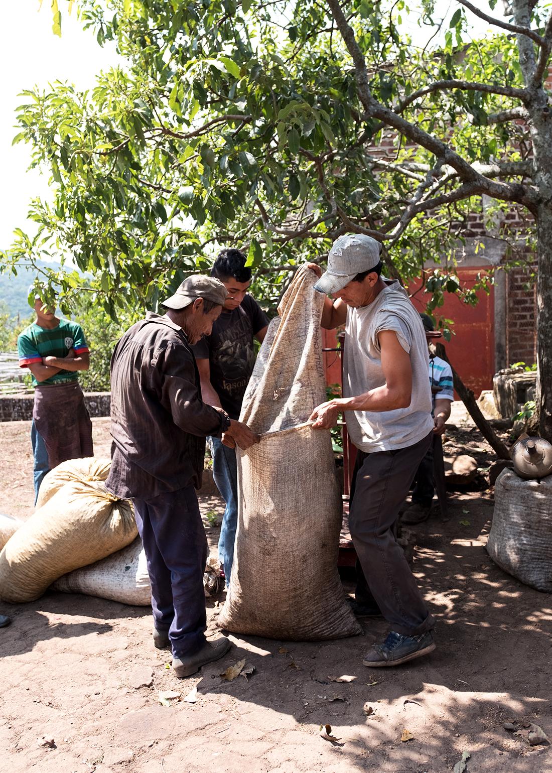 El Salvador La Dalia