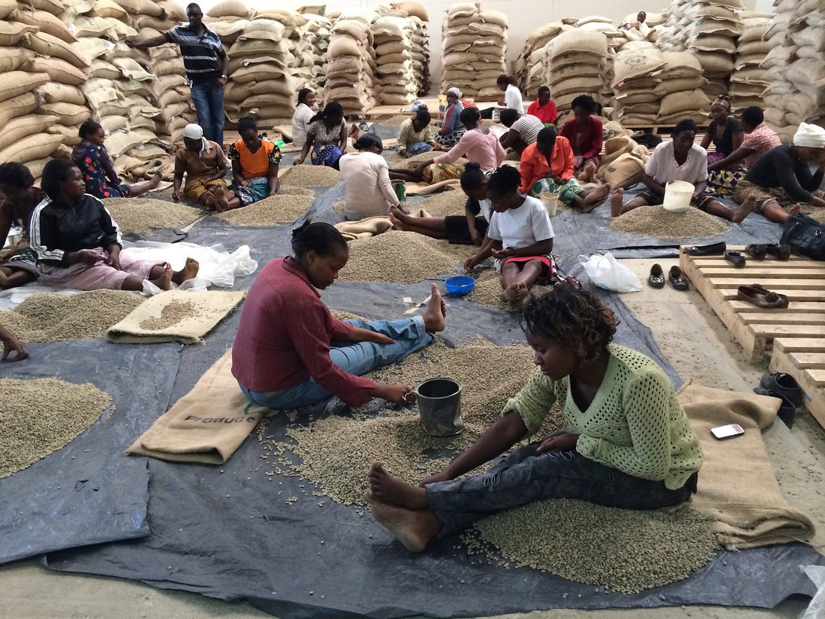 Kenya Rungeto AA