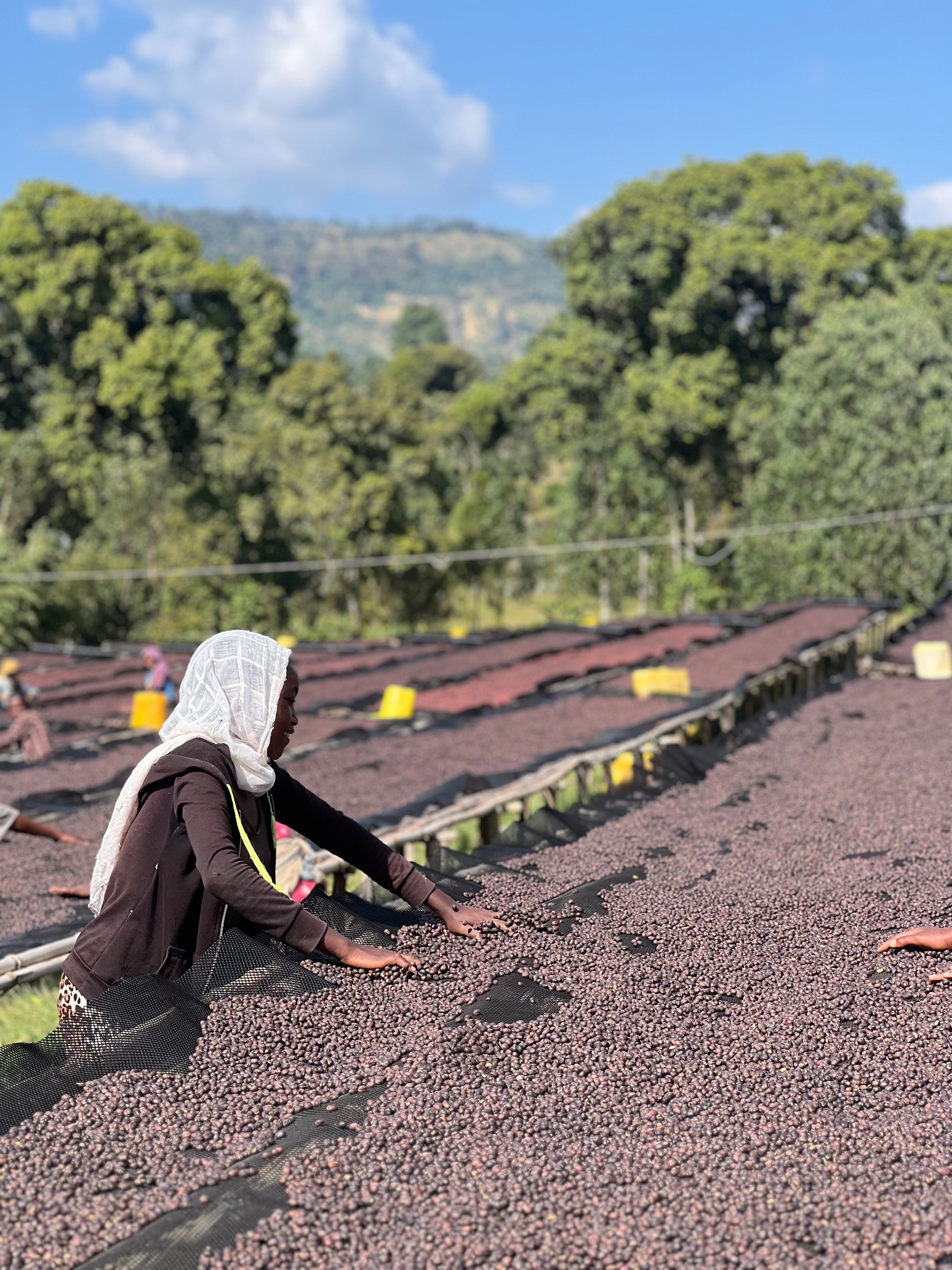 Ethiopia Hamasho Adnan