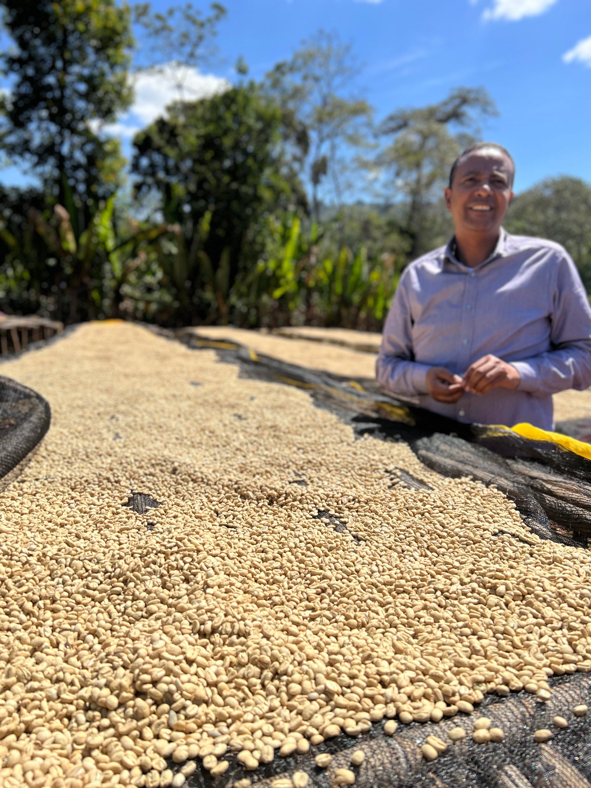 Ethiopia Banko Gotiti