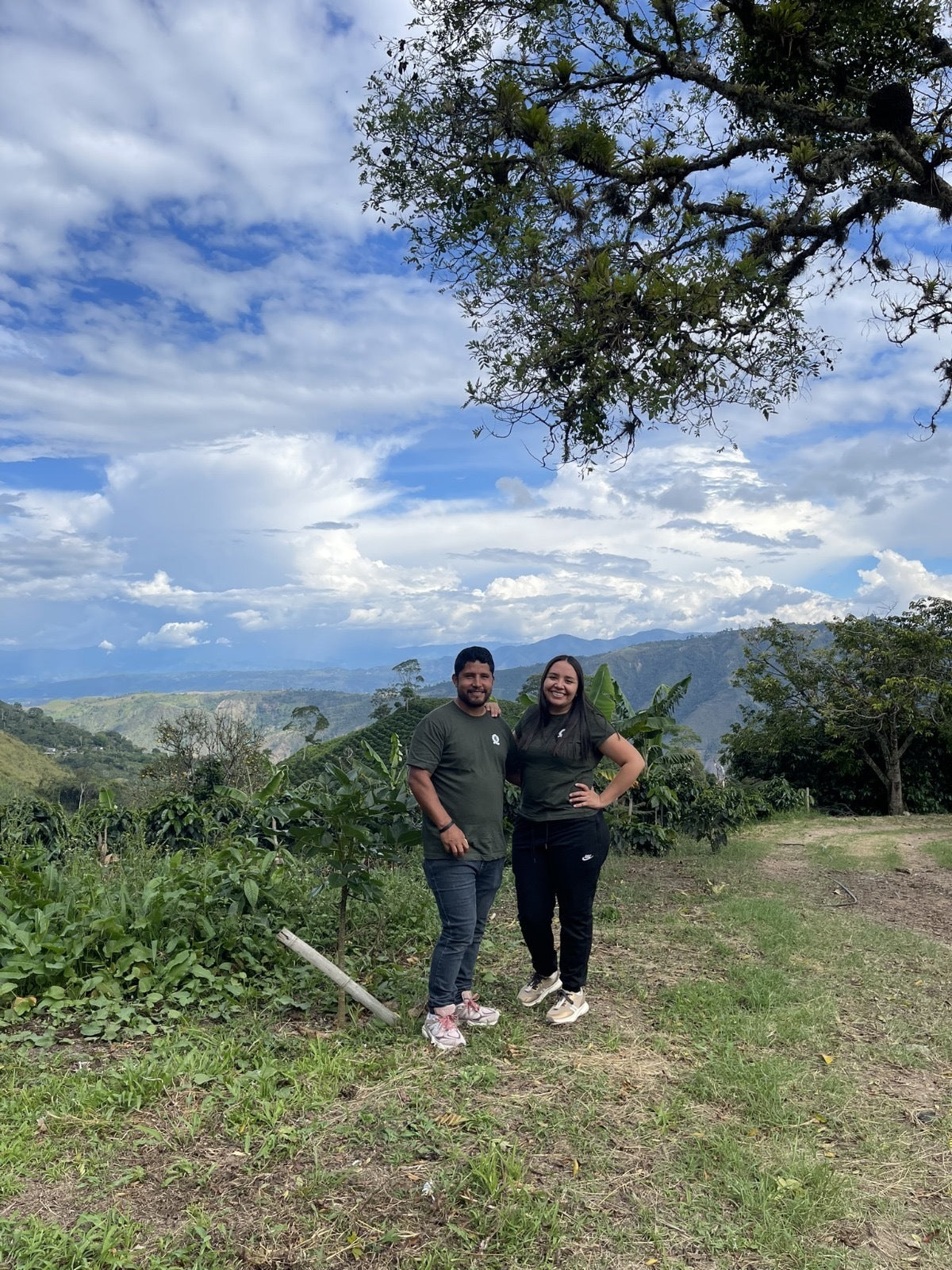 Colombia Quebraditas
