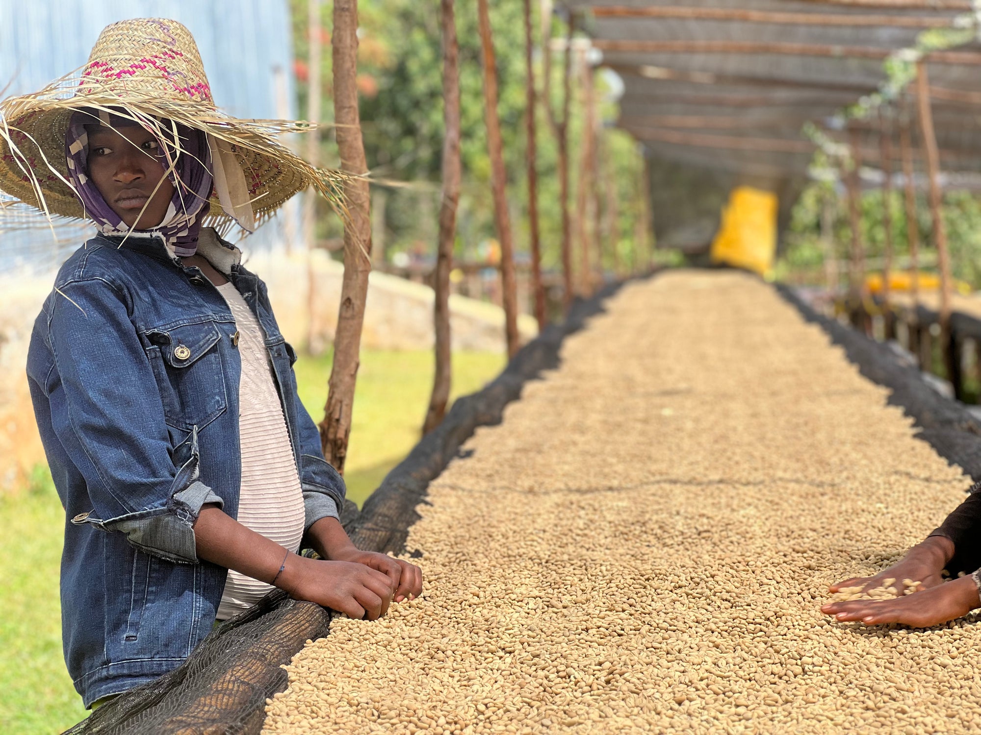 Ethiopia Duwancho
