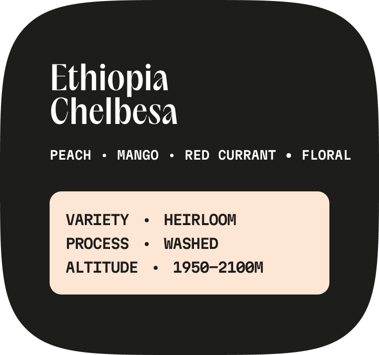 Ethiopia Chelbesа