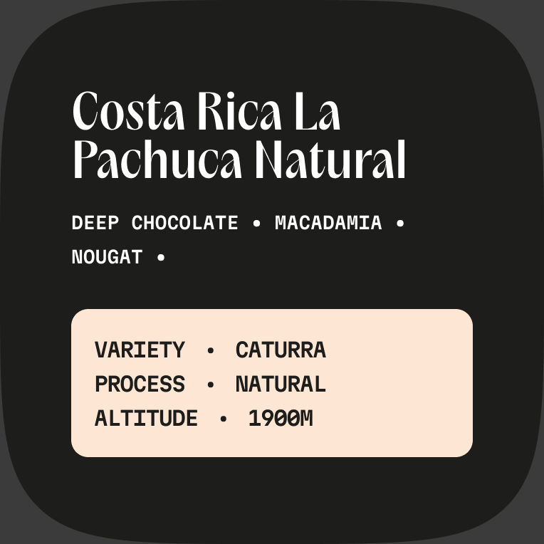 Costa Rica La Pachuca Natural