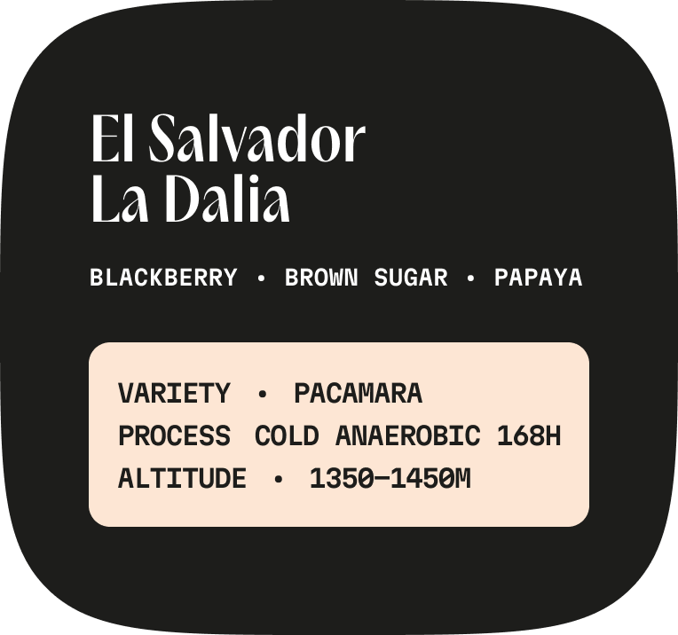 El Salvador La Dalia