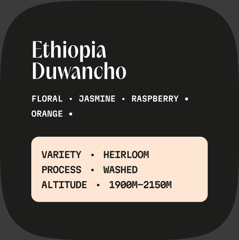 Ethiopia Duwancho