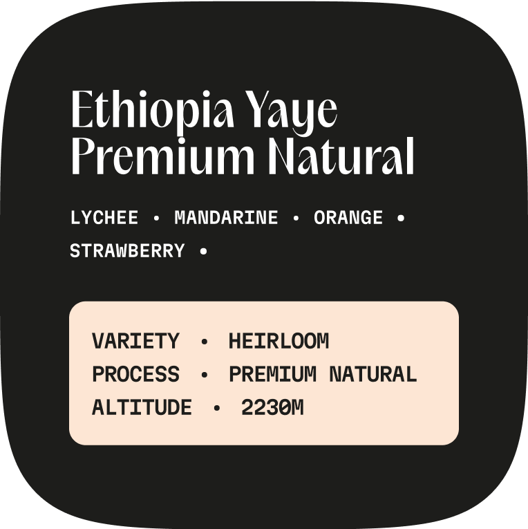 Ethiopia Yaye Natural