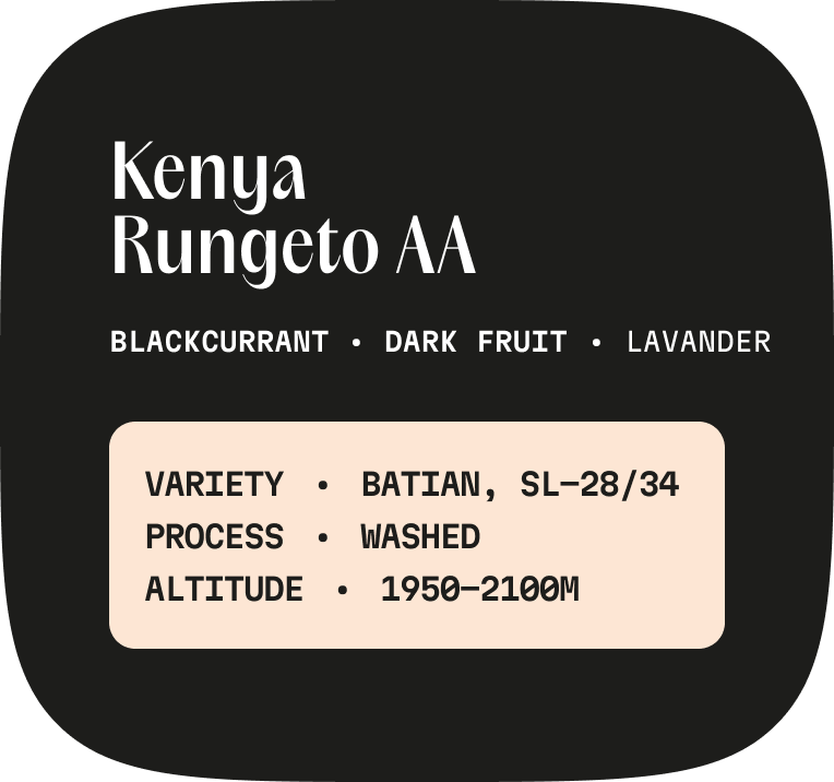Kenya Rungeto AA