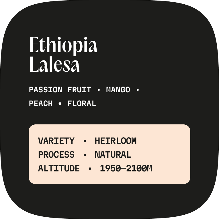 Ethiopia Lalesa