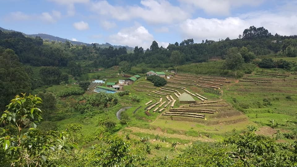 Kenya Kiawamururu NH