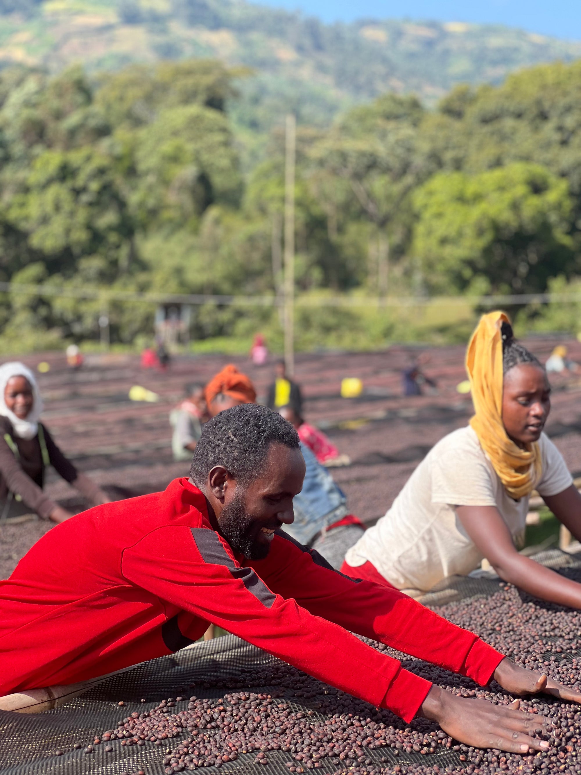 Ethiopia Hamasho Adnan