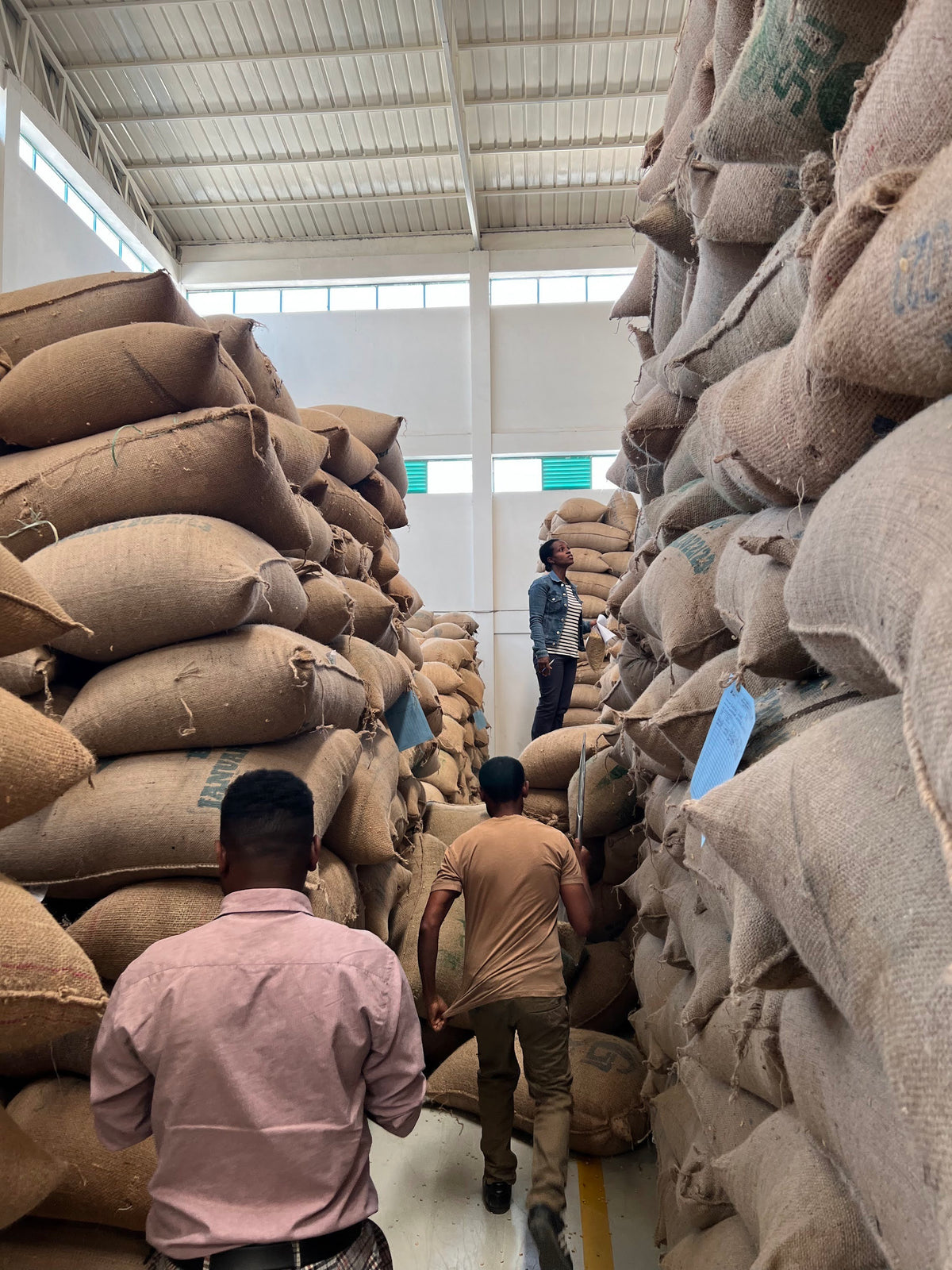 Ethiopia Lalesa
