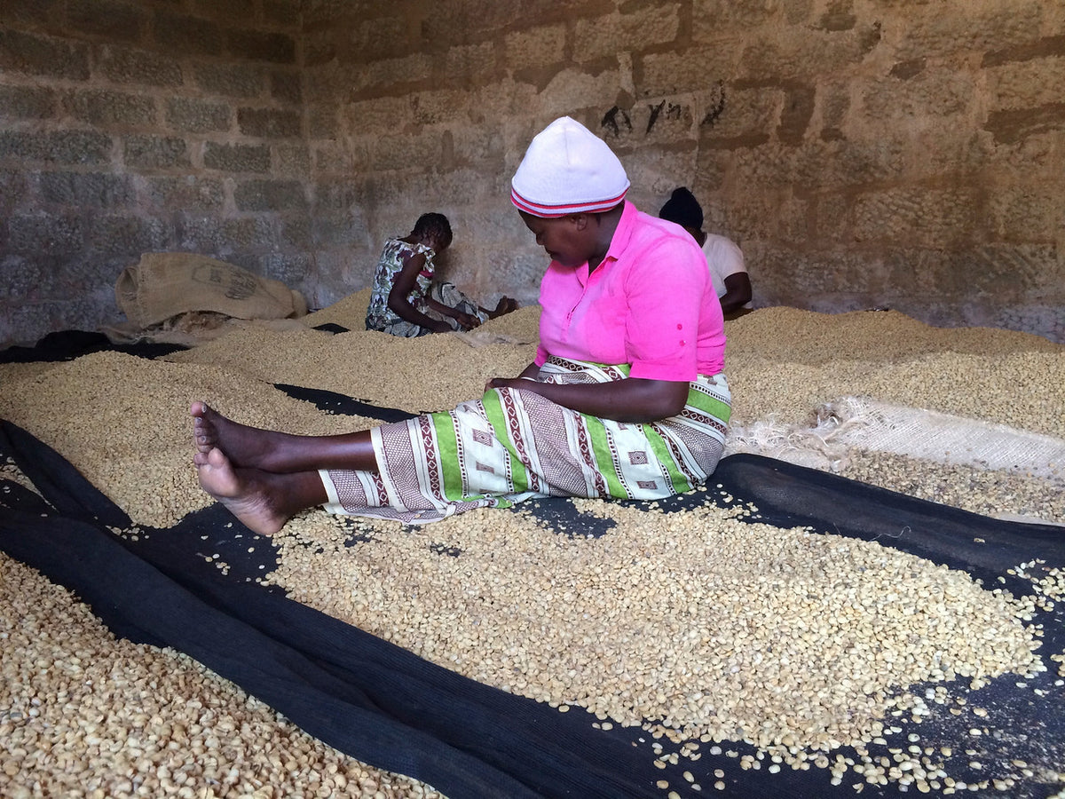Kenya Rungeto AA