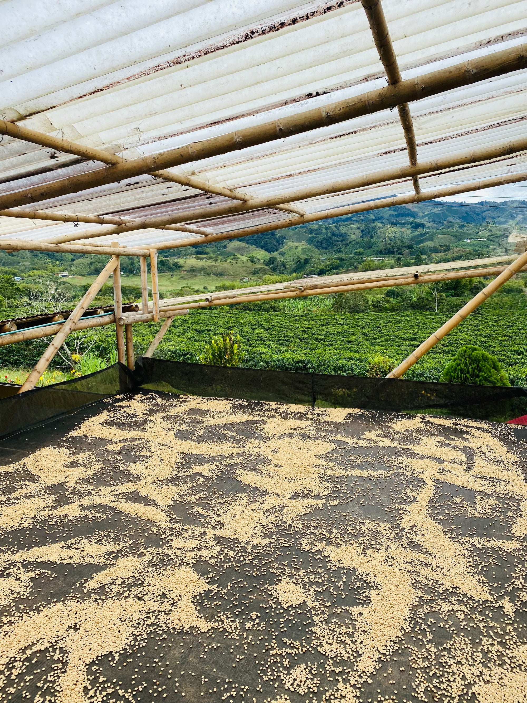 Colombia La Carmelita