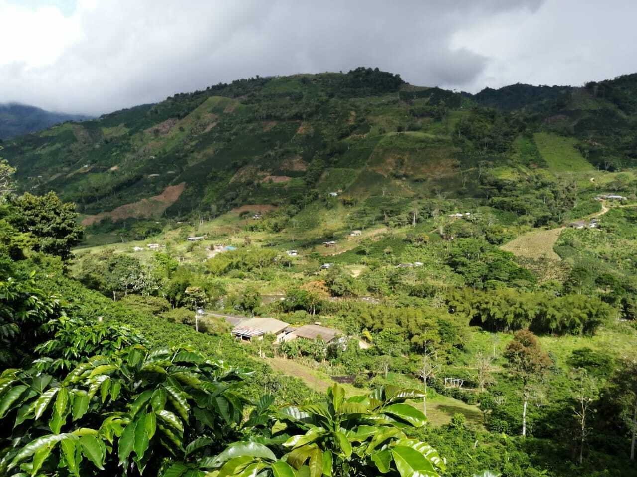 Colombia La Carmelita