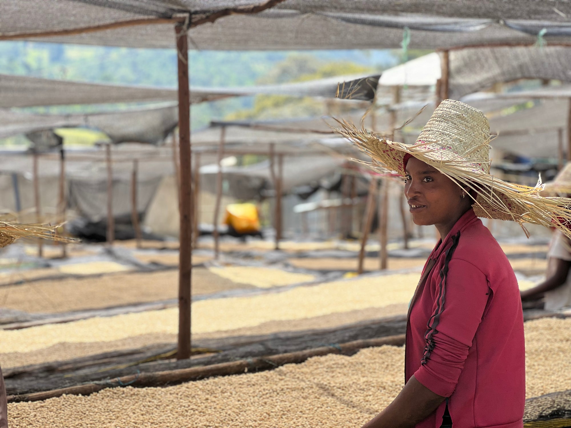 Ethiopia Duwancho