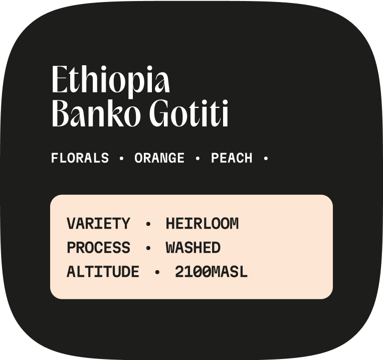 Ethiopia Banko Gotiti