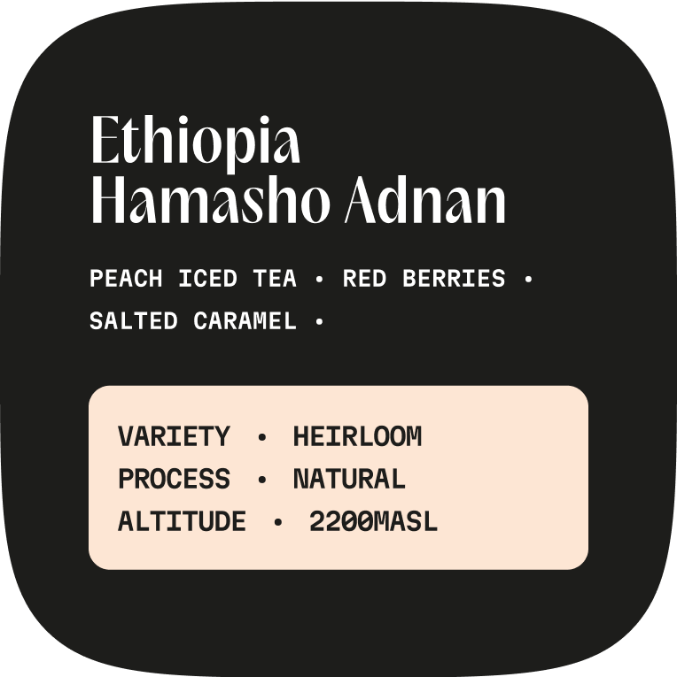 Ethiopia Hamasho Adnan