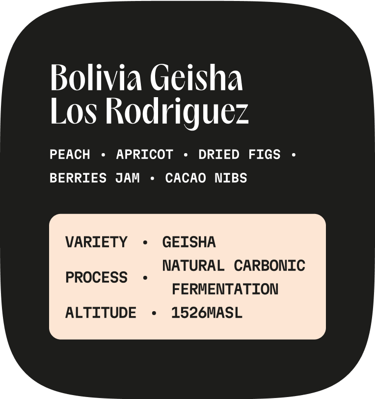 Bolivia Geisha Los Rodriguez Collection