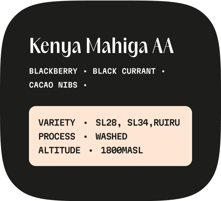 Kenya Mahiga AA