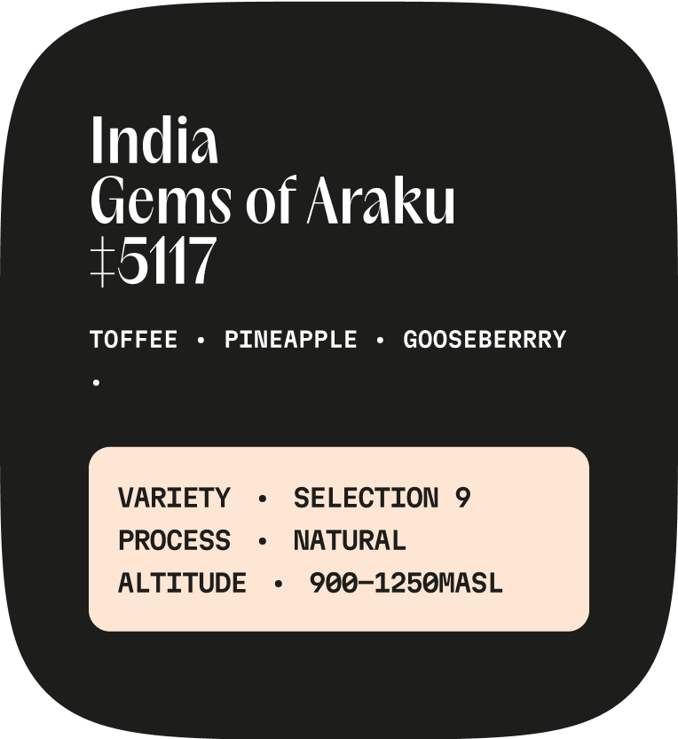 India Gems of Araku Lot ‡5117 Winner
